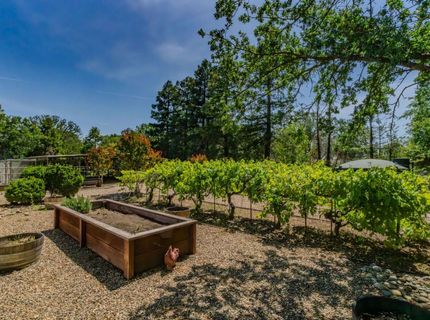 12 Brandy Ct, Burson, CA 95225 Photo