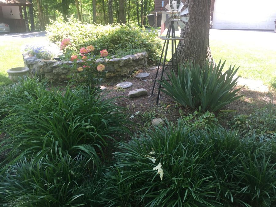 Property Image 27