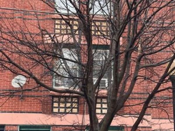 146 W HANOVER STREET , Unit 1, TRENTON, NJ 08618