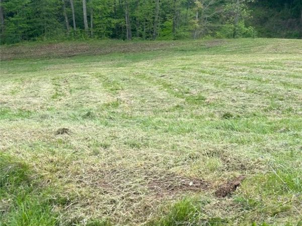 County Line Road, St Marys, WV 26170