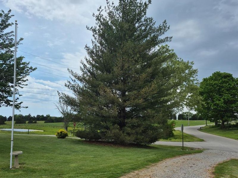 4299 White Oak Road, Peebles, OH 45660 Photo 6