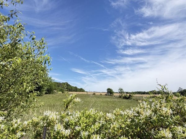 5901 Payne Rd, Portland, TN 37148