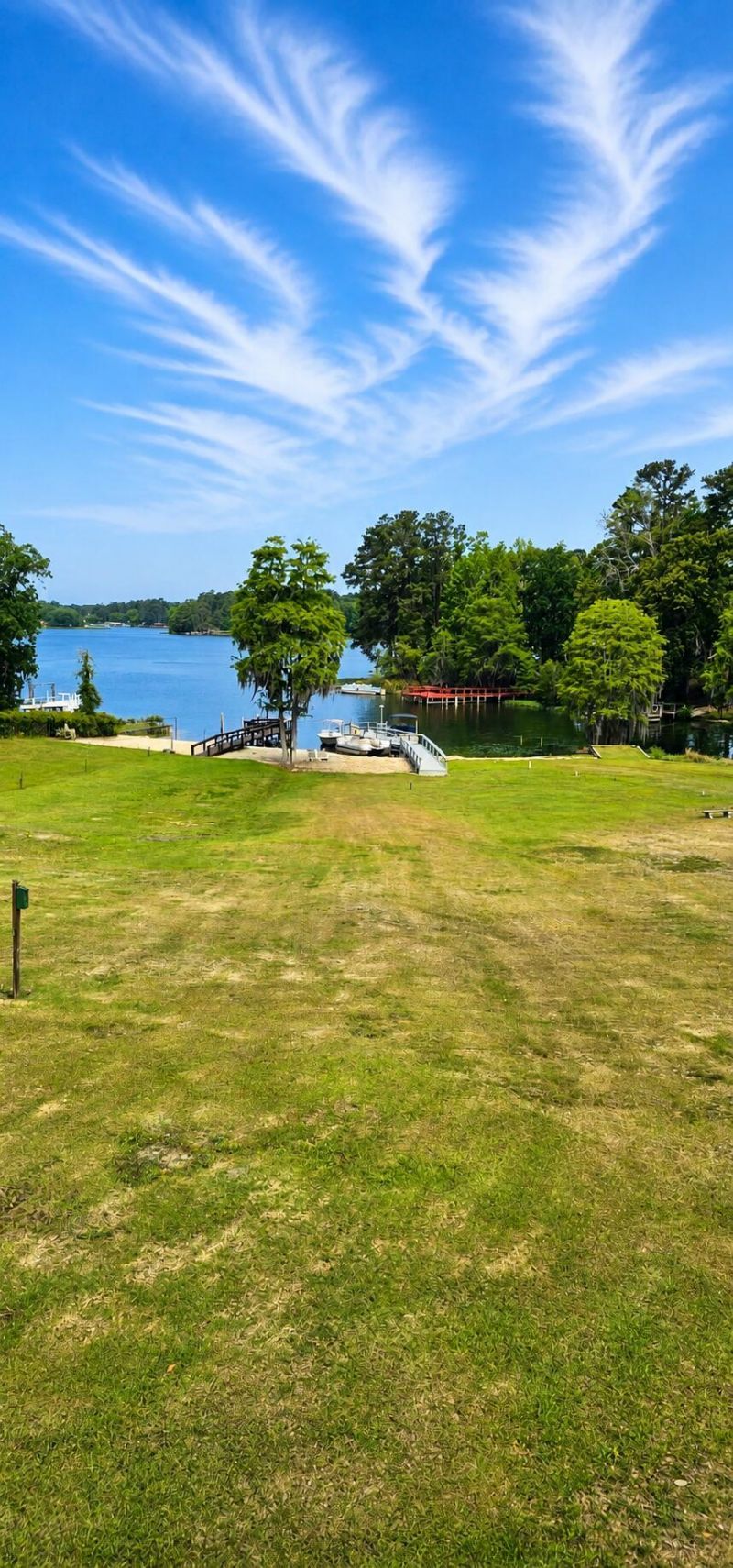 1176 Lesesne Drive Photo 41