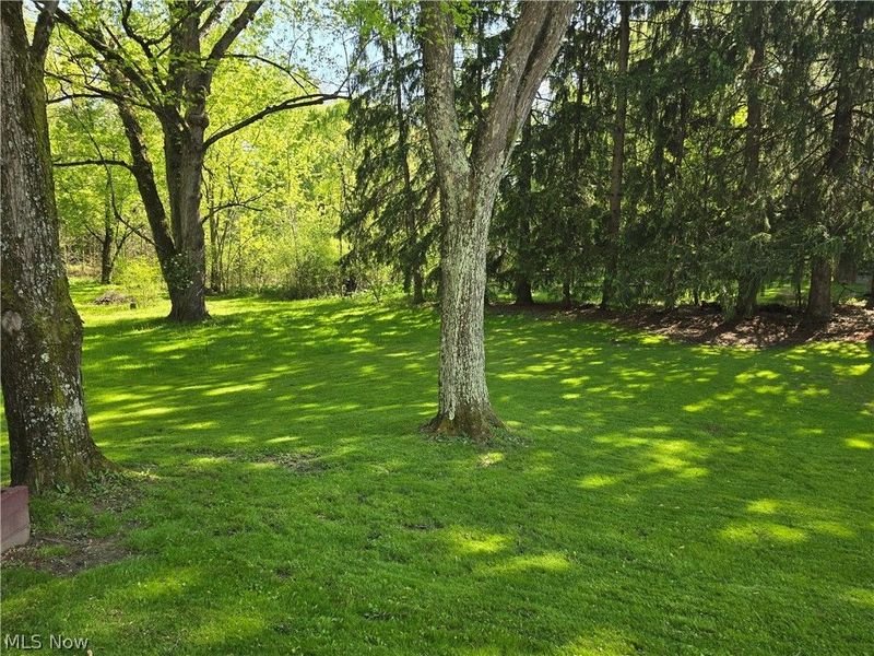 1702 Bears Den Road, Youngstown, OH 44511 Photo 19
