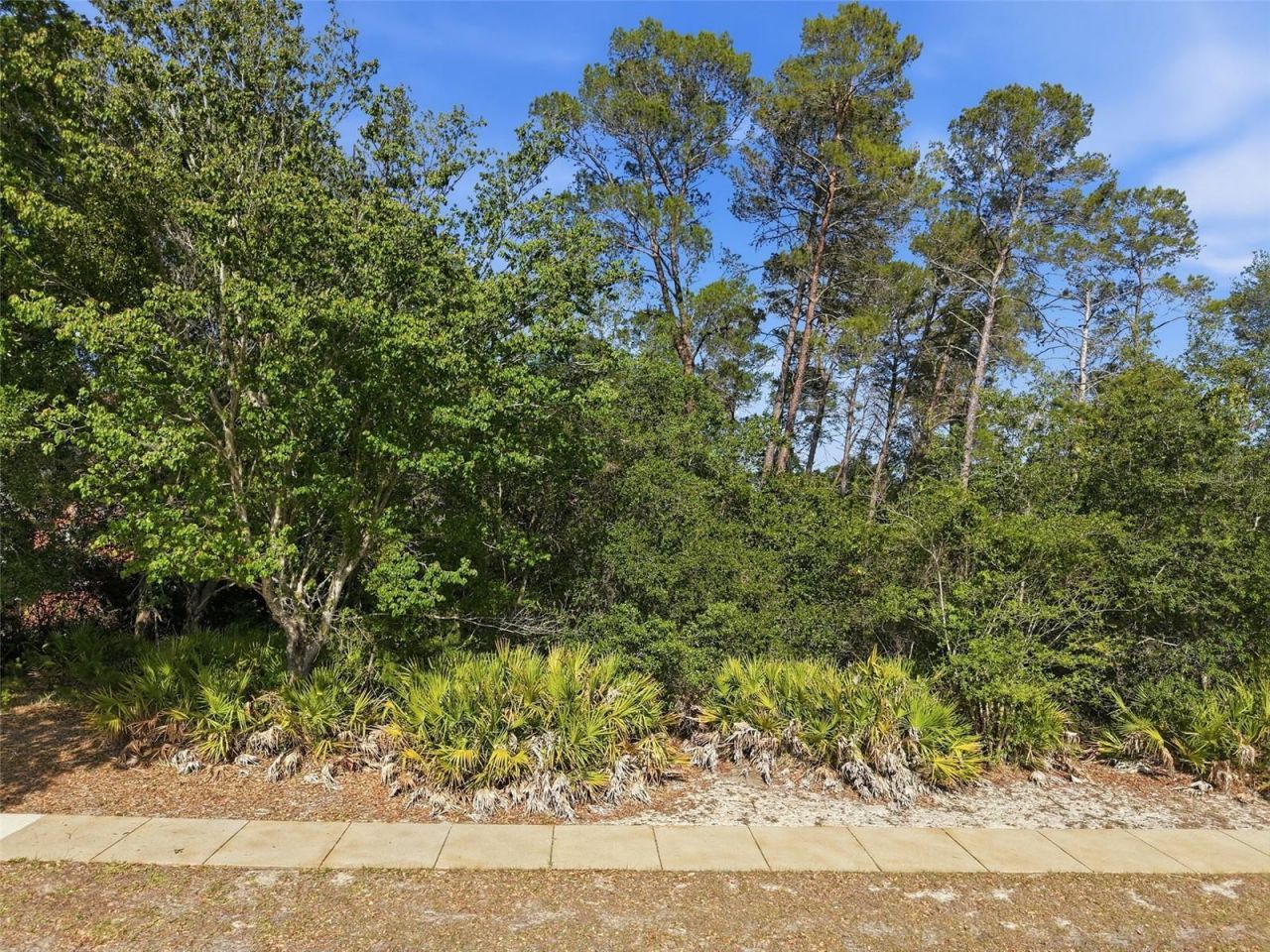 6134 Waters Way , Weeki Wachee, FL 34607 Photo