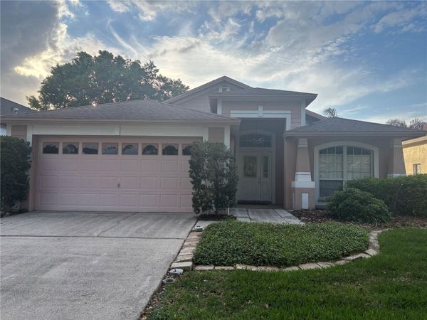 10132 HEATHER SOUND DRIVE , TAMPA, FL 33647