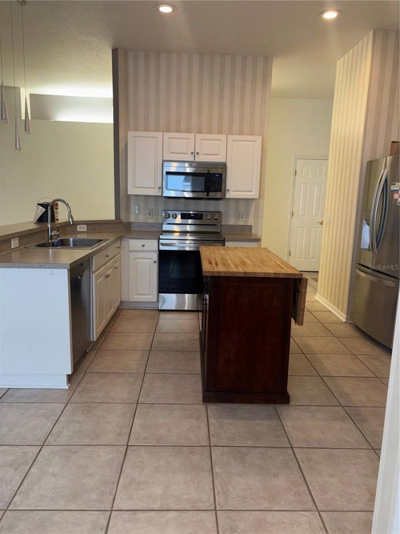 10132 Heather Sound Drive, Tampa, FL 33647 Photo