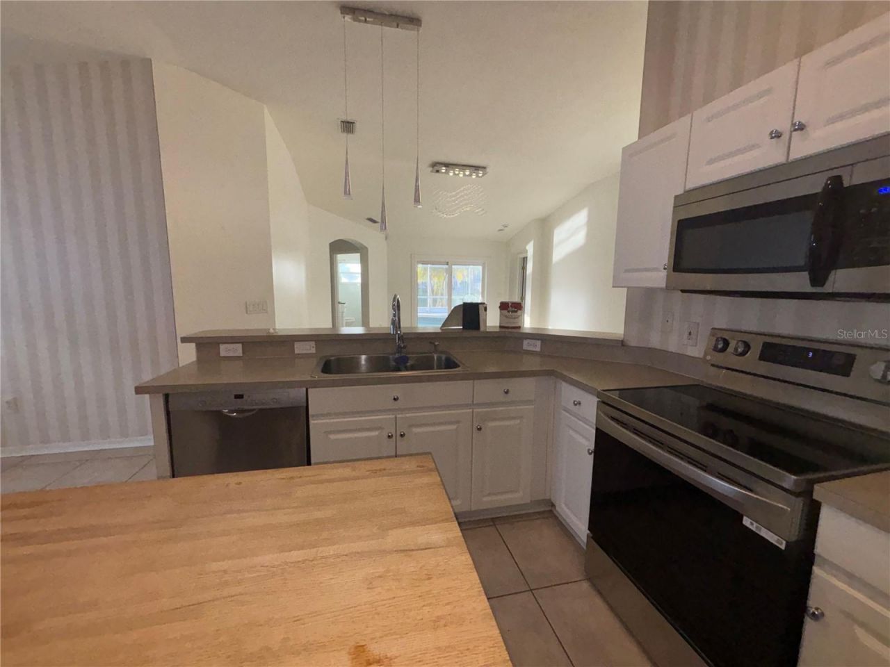 10132 Heather Sound Drive, Tampa, FL 33647 Photo