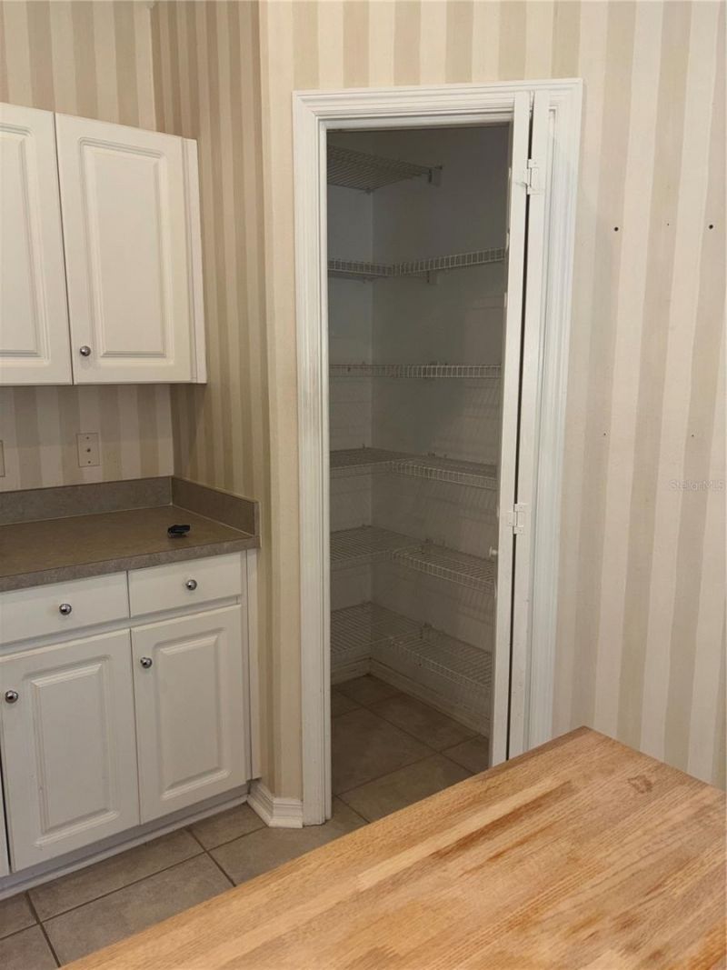 10132 Heather Sound Drive, Tampa, FL 33647 Photo