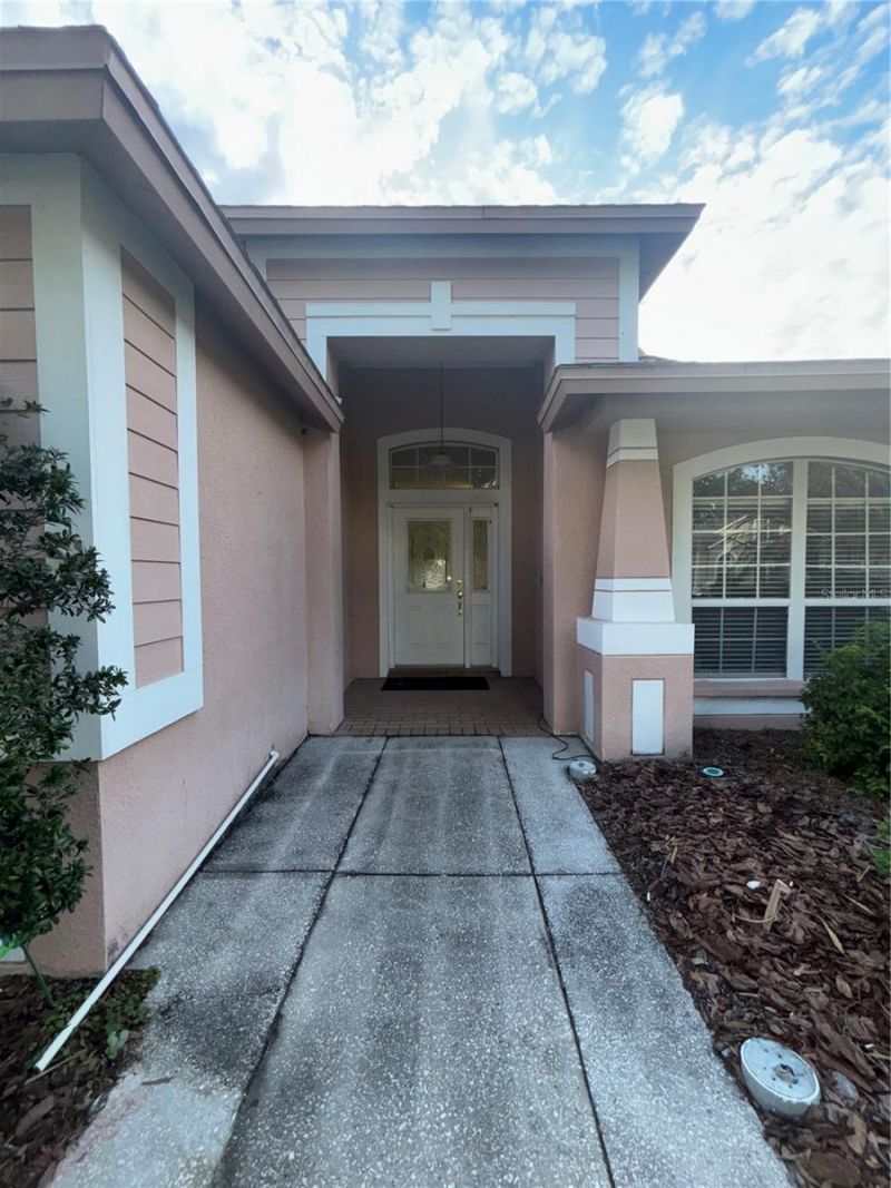 10132 Heather Sound Drive, Tampa, FL 33647 Photo