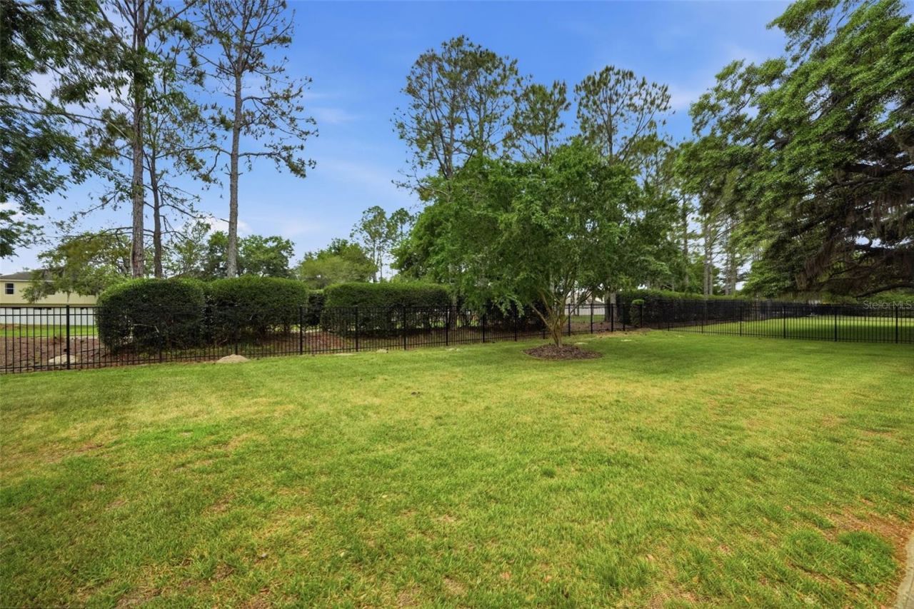14100 Bassingthorpe Drive, Spring Hill, FL 34609 Photo