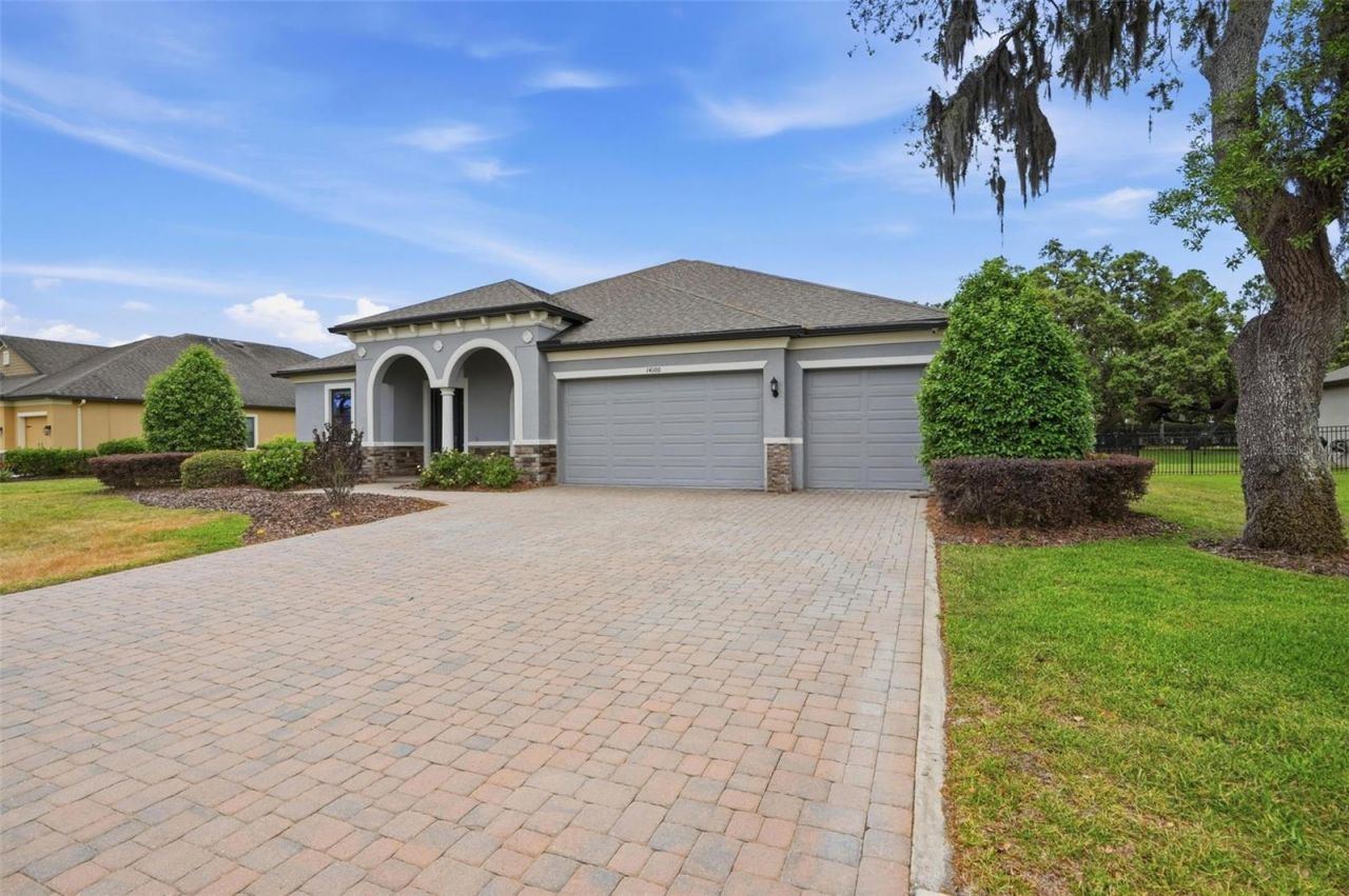 14100 Bassingthorpe Drive, Spring Hill, FL 34609 Photo