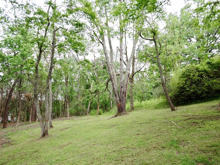 Property Image 52