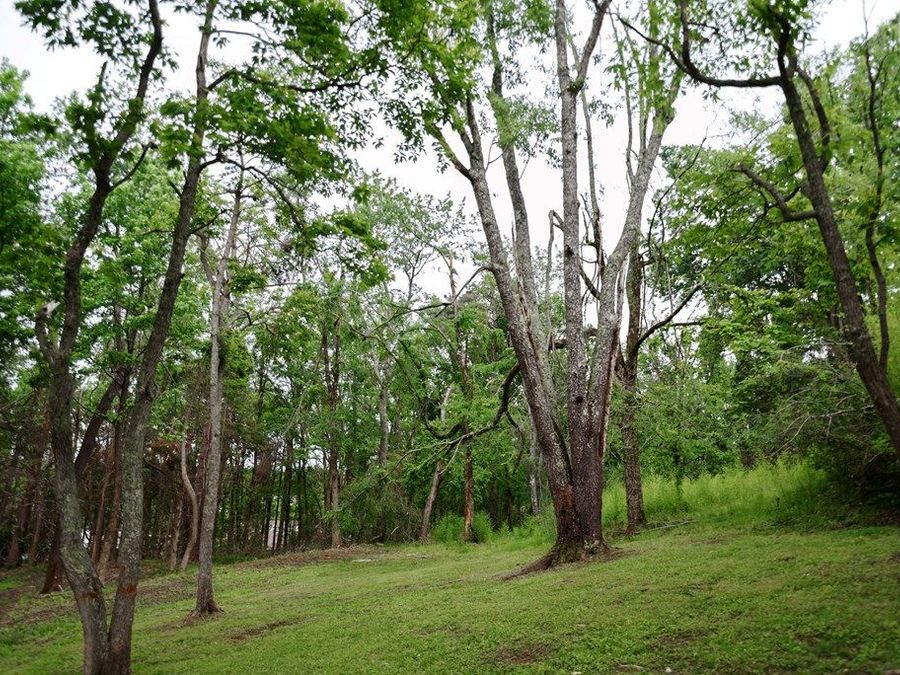 Property Image 53