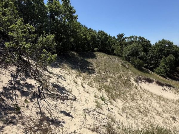 Lot #313 Erie Trail, Shelby, MI 49455