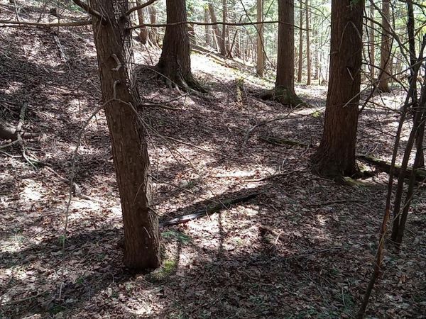 36431 Daniels Road, Ontonagon Twp, MI 49953
