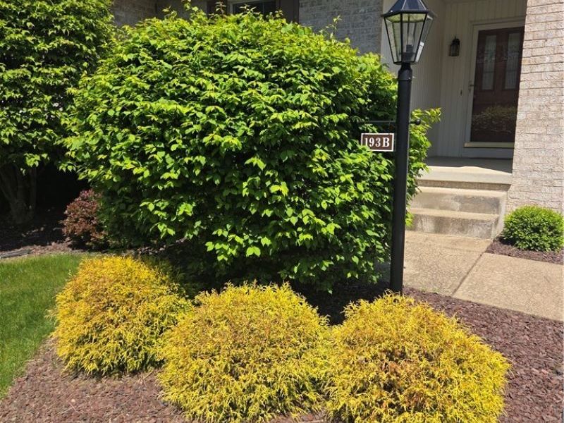 193 Mathews Road, Boardman, OH 44512 Photo 3