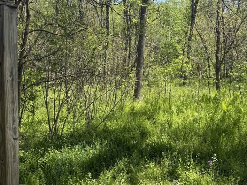 4190 Grafton Road, Leetonia, OH 44431 Photo 6