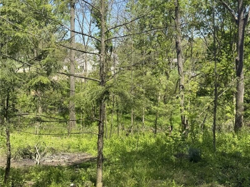 4190 Grafton Road, Leetonia, OH 44431 Photo 7