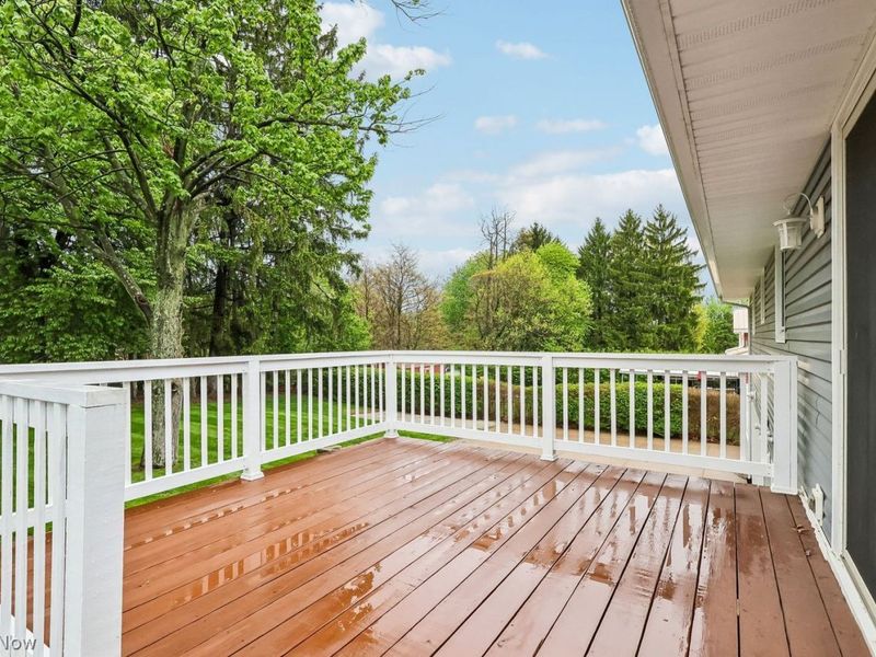 669 Summit Street, Doylestown, OH 44230 Photo 45