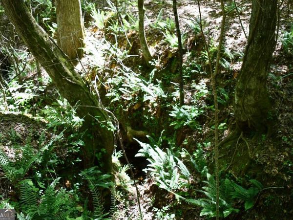 00002 Windridge Lane, Temple, GA 30179