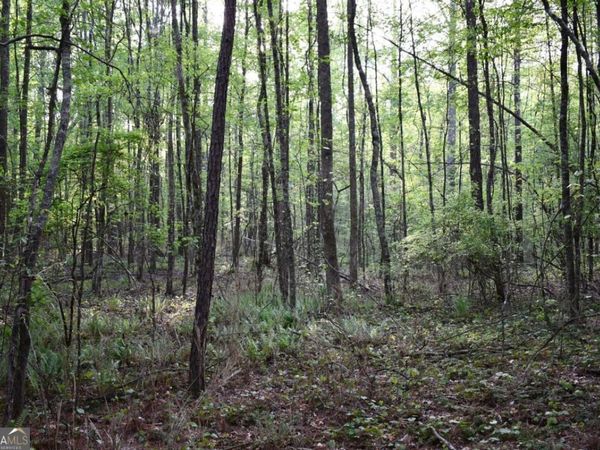 00004 Windridge Lane, Temple, GA 30179