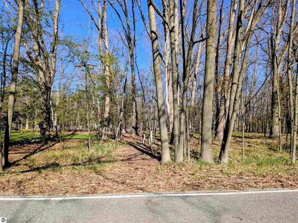1048 Bundy Drive, Lake Isabella, MI 48893