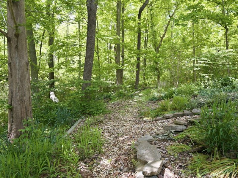 9546 Cunningham Road, Indian Hill, OH 45243 Photo 88