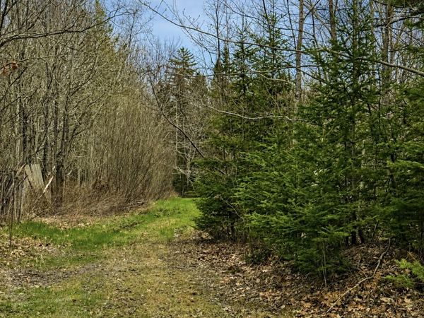 00 Kinstone Lane , Trenton, ME 04605