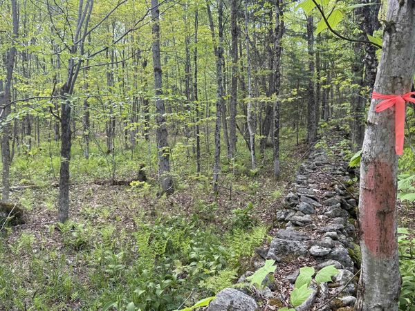 00 Potter Road, Lowell, VT 05847