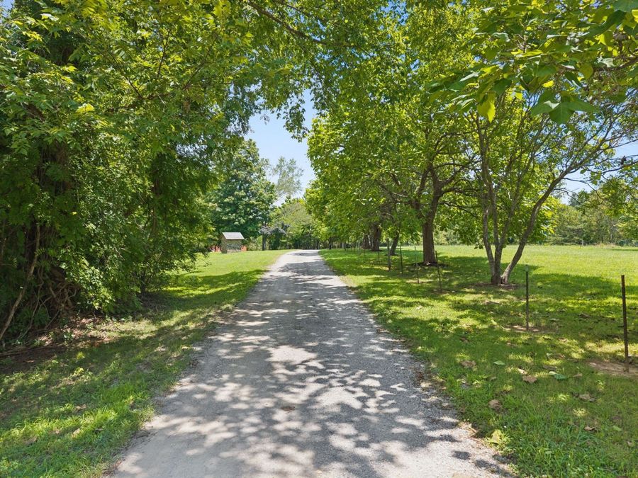 Property Image 86
