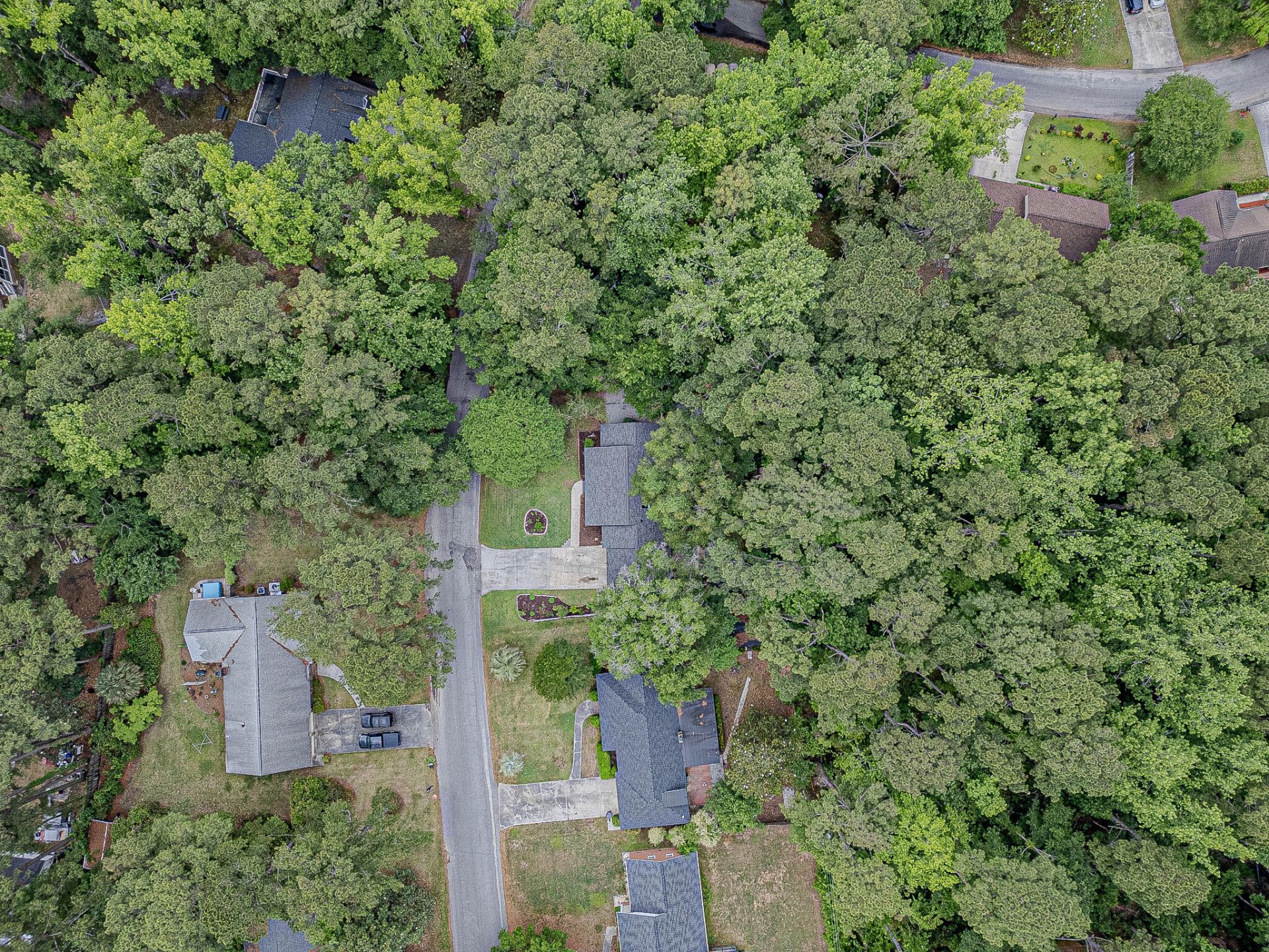 105 Bob White Lane Photo 40