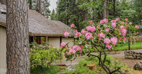16686 Meadow Vista Dr, Pioneer, CA 95666 Photo