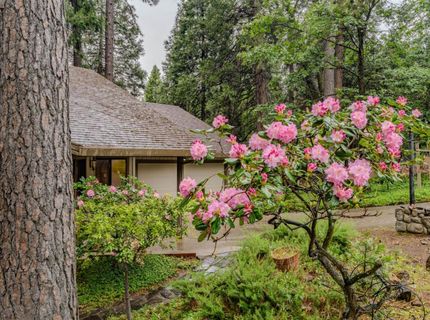 16686 Meadow Vista Dr, Pioneer, CA 95666 Photo