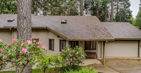 16686 Meadow Vista Dr, Pioneer, CA 95666 Photo