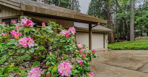 16686 Meadow Vista Dr, Pioneer, CA 95666 Photo