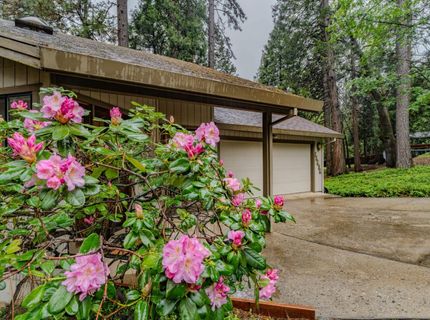 16686 Meadow Vista Dr, Pioneer, CA 95666 Photo