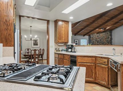 16686 Meadow Vista Dr, Pioneer, CA 95666 Photo