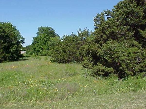 29102 Greenwood Drive, Whitney, TX 76692