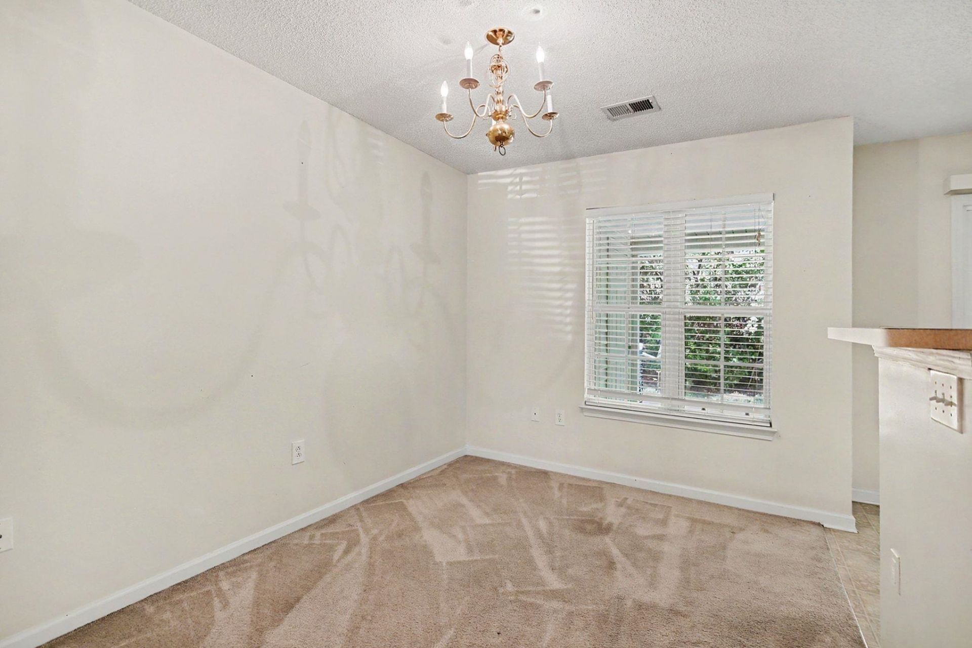 1043 Penny Ln. Photo 12