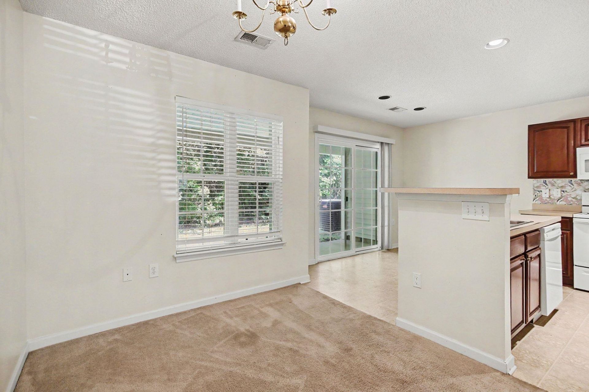 1043 Penny Ln. Photo 13