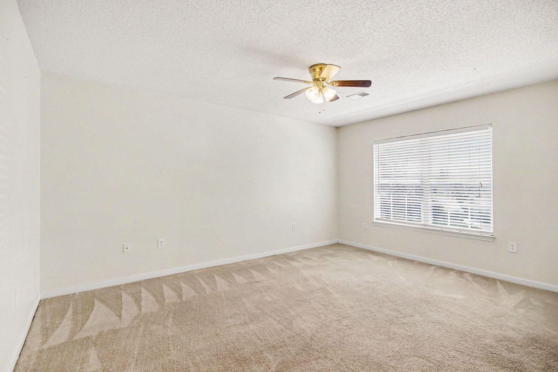 1043 Penny Ln. Photo 7