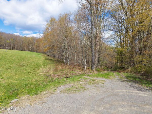 L25 Fuller District Road, Jefferson, NY 12093