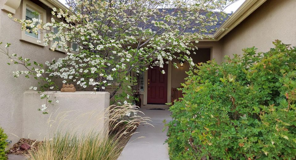 1171 Dortmunder Drive, Sparks, NV 89441 Photo