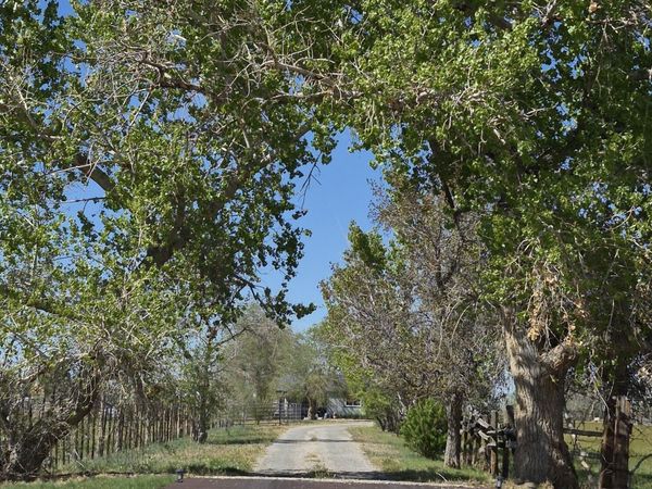 3280 Lone Tree Road, Fallon, NV 89406