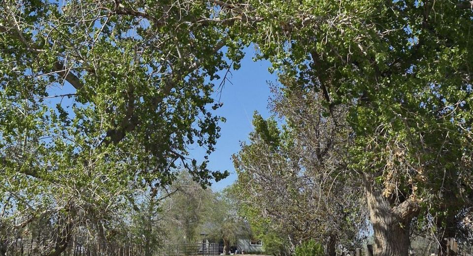 3280 Lone Tree Road, Fallon, NV 89406 Photo