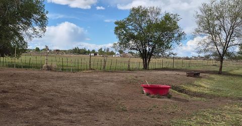 3280 Lone Tree Road, Fallon, NV 89406 Photo
