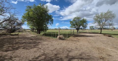 3280 Lone Tree Road, Fallon, NV 89406 Photo