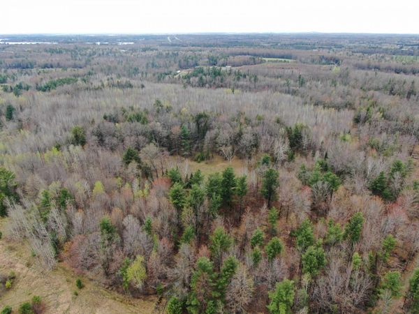 40 AC W Oakwood Dr Acres, Mosinee, WI 54455