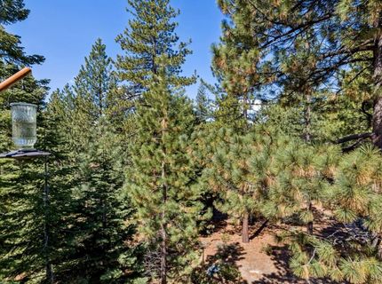 1241 Acoma Circle, South Lake Tahoe, CA 96150 Photo